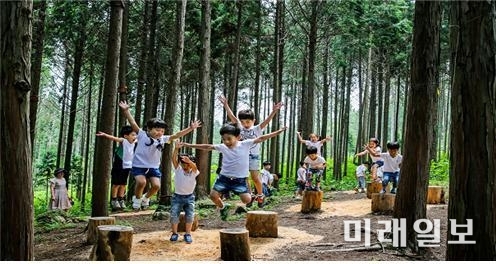 장흥 편백숲 우드랜드