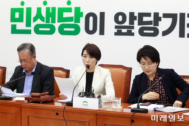 민생당 김정화 공동대표가 11일 오전 서울 여의도 국회에서 열린 최고위원회의에서 발언하고 있다. 왼쪽은 유성엽 공동대표, 오른쪽은 박주현 공동대표./사진=장건섭 기자