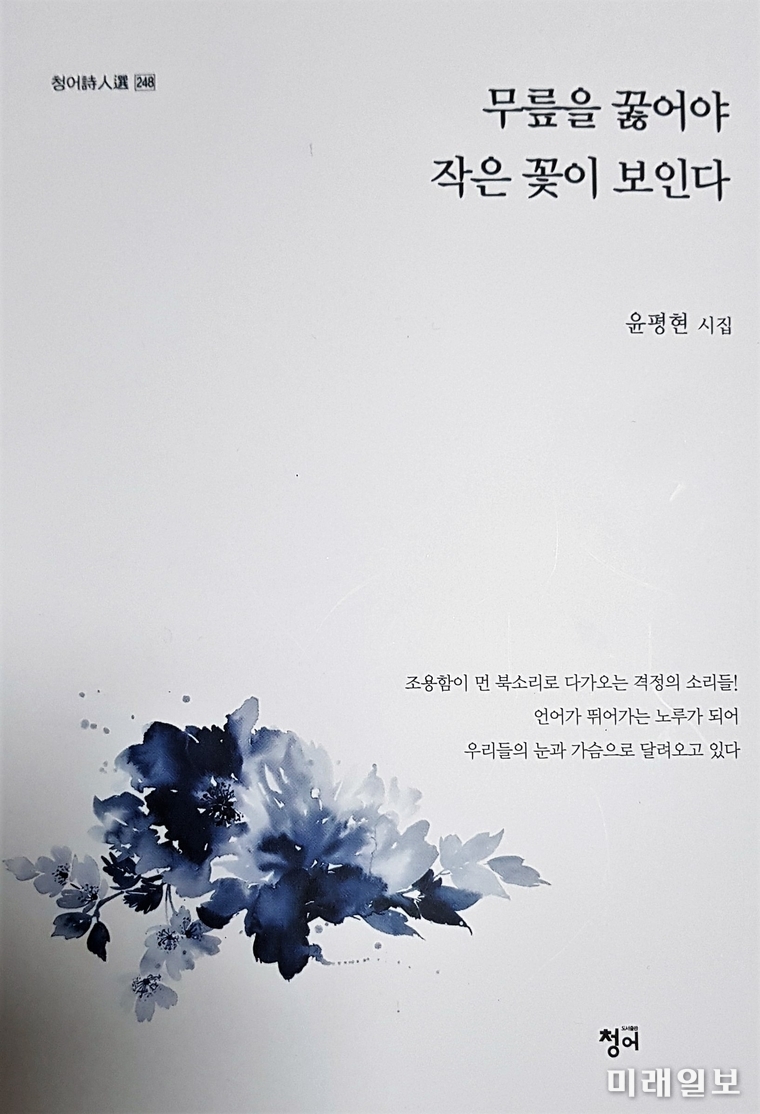 윤평현 시인의 첫 시집 '무릎을 꿇어야 작은 꽃이 보인다' 표지./사진=청어