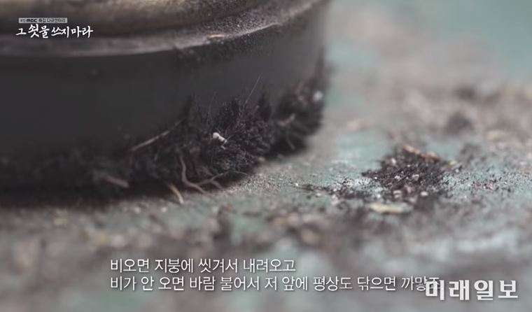 지난해 12월 10일 방송된 포항 MBC 특집 다큐 '그 쇳물 쓰지 마' 갈무리