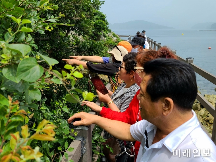 경남 통영시 만지도에 있는 한려해상국립공원 만지도에서 관광객들이 복원 중인 '풍란'을 관람하고 있다./사진=인터넷언론인연대