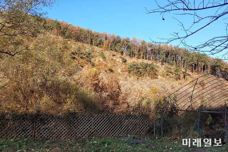 종갱신 명목으로 베어낸 경기도 광주시 도척면 방도리 산74 일대 전경./사진=인터넷언론인연대