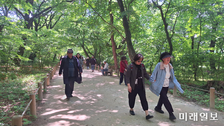 지난 5월 14일 국제계관시인연합한국본부 주관으로 진행된 '경남 함양 선비문화 탐방'에서 참여 시인들이 함양 상림공원 내 상림숲 길을 산책하고 있다./사진=UPLI-KC