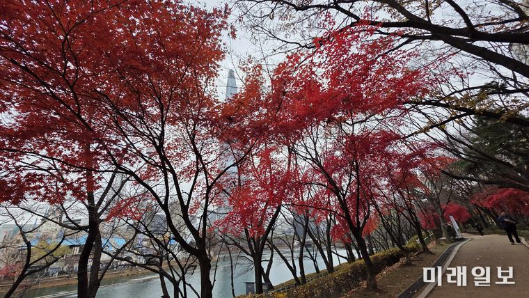 사진은 본문 내용과 관련 없음./사진=장건섭 기자