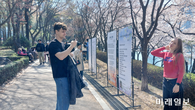 서울 송파구 석촌호수 서호 산책로에서 열린 ‘2026 송파문인협회 정기 시화전’을 찾은 외국인 관람객이 벚꽃길을 따라 전시된 시화 작품을 감상하며 기념촬영을 하고 있다./사진=송파문협 제공