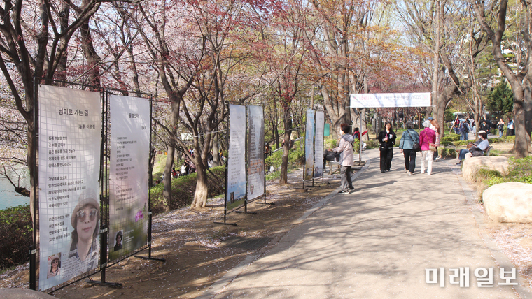 서울 송파구 석촌호수 서호 산책로에서 열린 ‘2026 송파문인협회 정기 시화전’을 찾은 시민들이 벚꽃길을 따라 전시된 시화 작품을 감상하며 봄 정취를 만끽하고 있다./사진=송파문협 제공